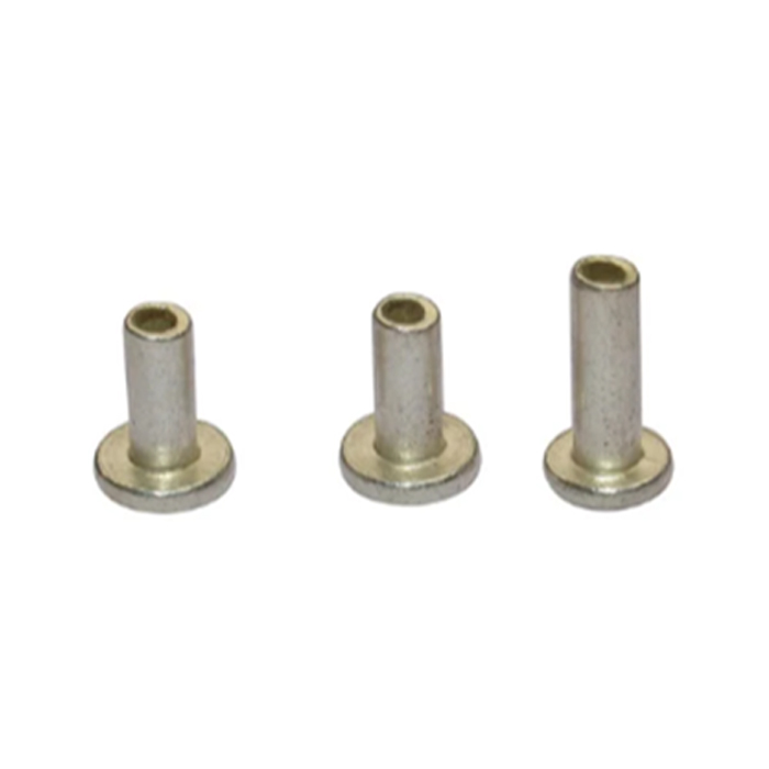 Silver Coated Rivets