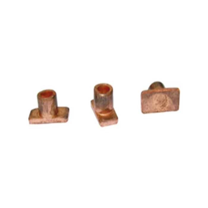 Squire Type Head Rivets
